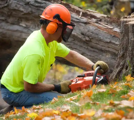 tree services Doe Valley